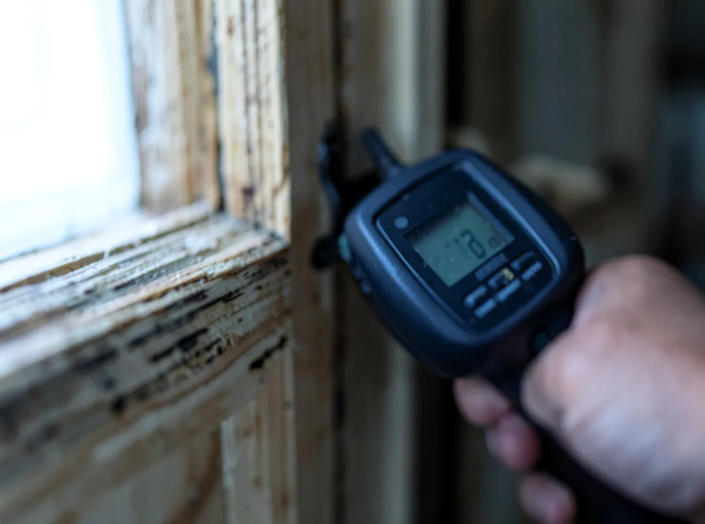 Moisture Inspection And Documentation in Cabery, IL